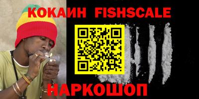 jwh Кингисепп