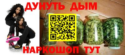 jwh Кингисепп