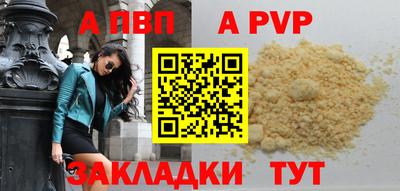 jwh Кингисепп