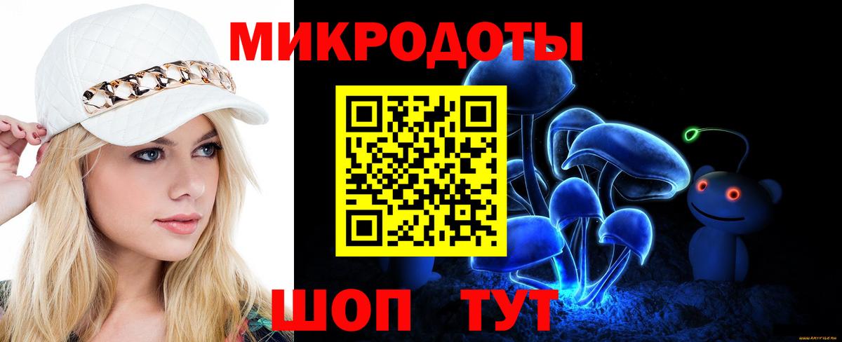 Псилоцибиновые грибы Psilocybine cubensis  Псилоцибиновые грибы прущие грибы  Зима  Вход с VPN 